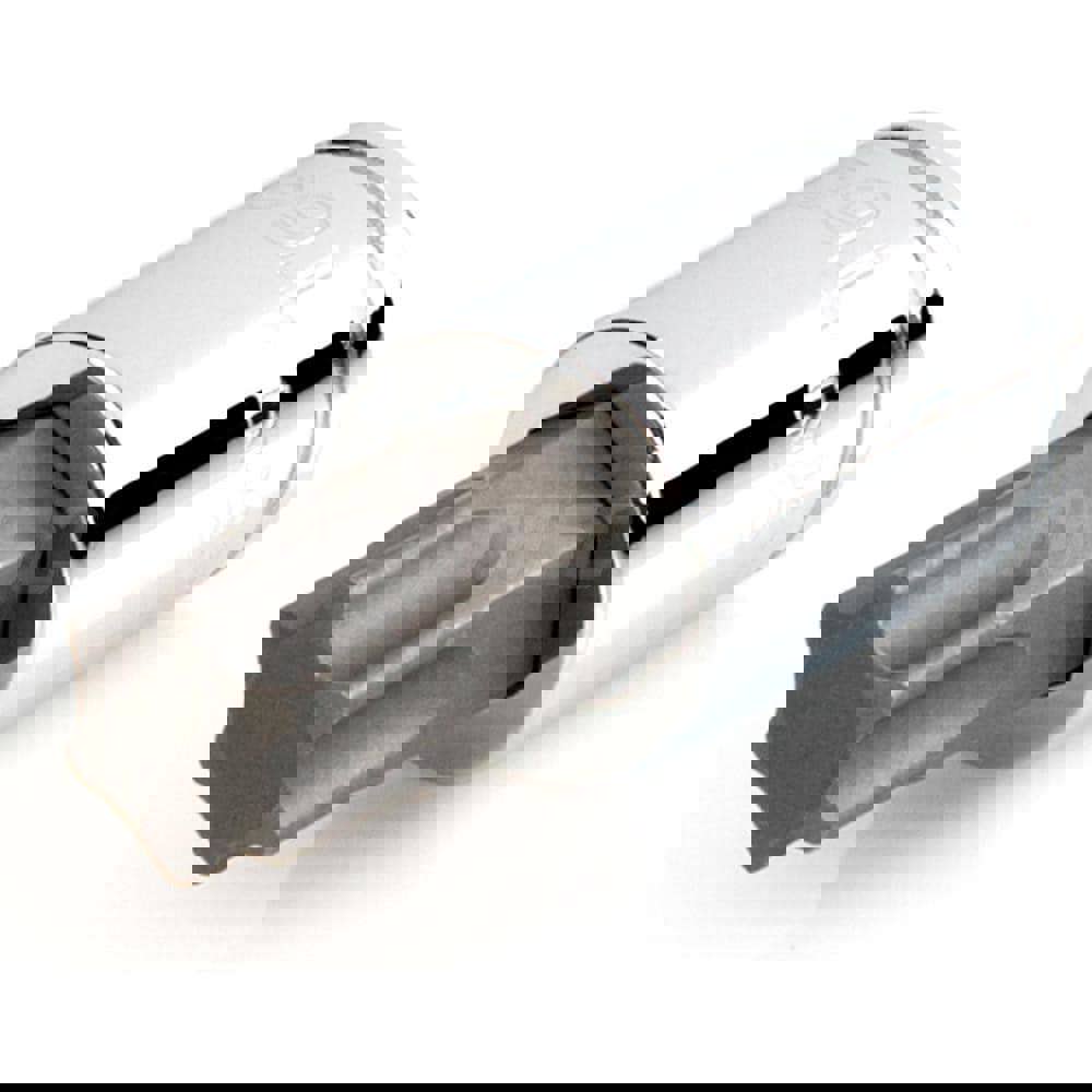 3/8 Inch Drive x T60 Torx Bit Socket