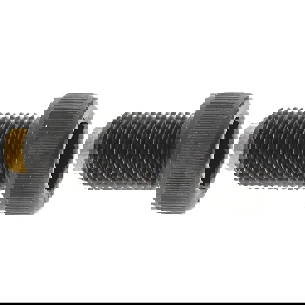 Hex Socket Cap Screw: 5/16-18 UNC