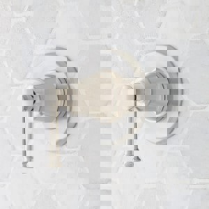 1HDL T/VLV TRIM *BEASL BN