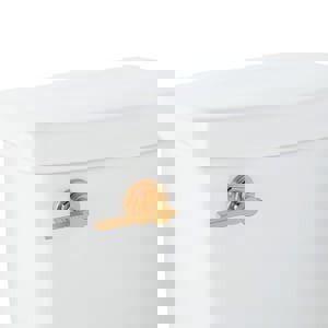 Trip Lever in Brushed Gold