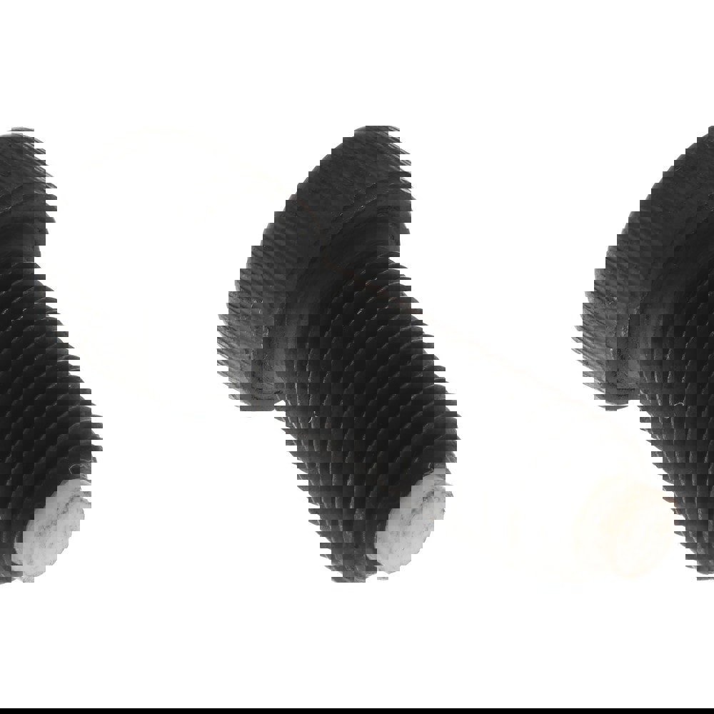 Hex Socket Cap Screw: 1/4-20 UNC