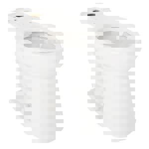 Elongated Toilet Bowl in White