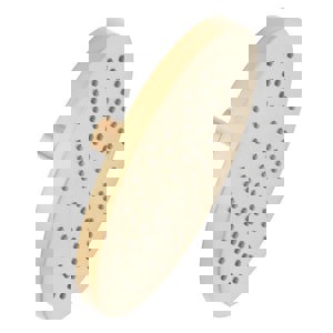 Single Function Showerhead in Brushed Gold