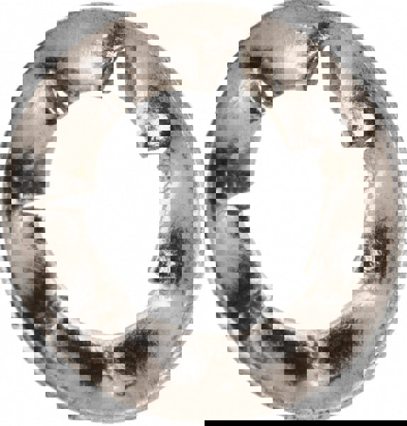 M3 Screw, 3.2mm ID, Stainless Steel Internal Tooth Lock Washer