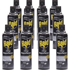 Raid Wasp/Hornet Killer Spray