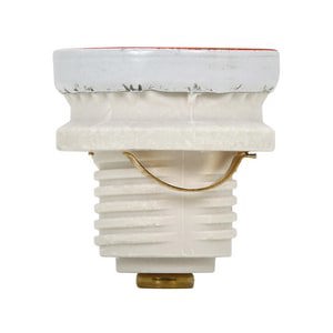 20A 125V PLUG FUSE