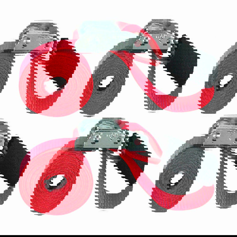 Polyester Cinch Strap & Cam Buckle Tie Down: 6' Long, 1