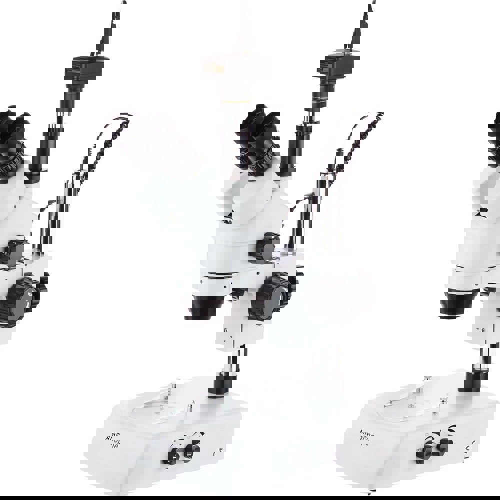 Microscopes; Microscope Type: Stereo ; Eyepiece Type: Trinocular ; Image Direction: Upright ; Eyepiece Magnification: 10x