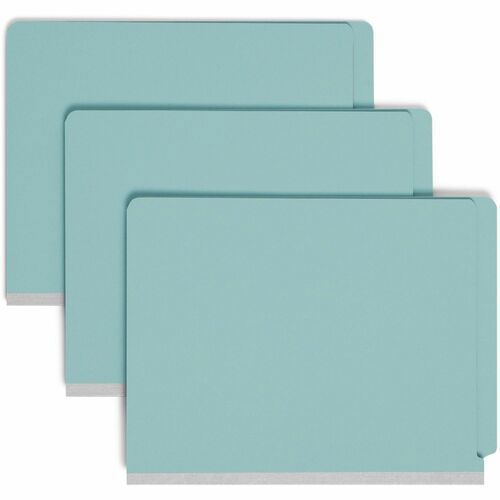 Classification Folder: Letter, Blue, 10/Pack