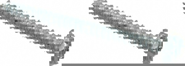 Sheet Metal Screw: #10, Hex Washer Head, Slotted