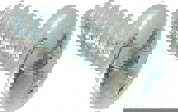 Sheet Metal Screw: #6, Pan Head, Slotted & Phillips