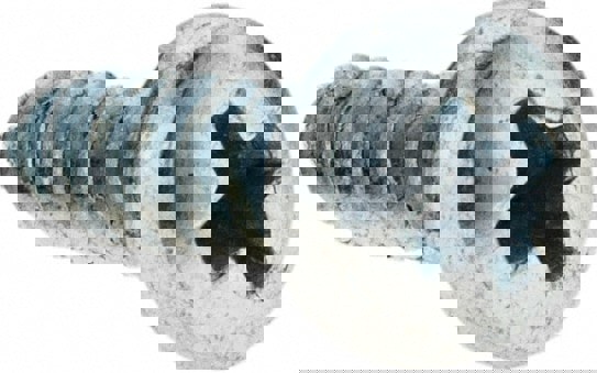 Sheet Metal Screw: #4, Pan Head, Phillips