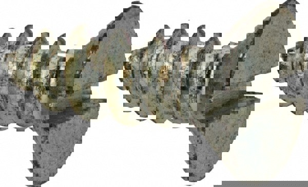 #10 Flat Head Slotted Sheet Metal Screw