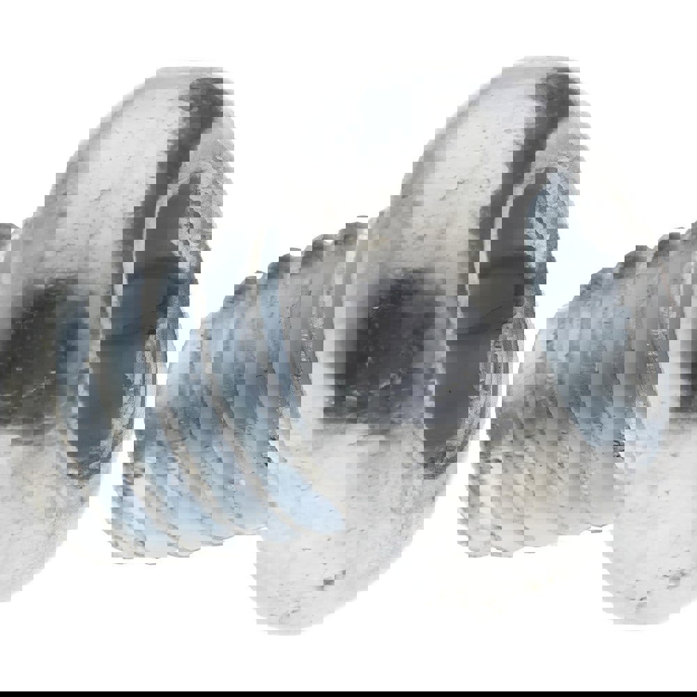 Sheet Metal Screw: Pan Head, Torx