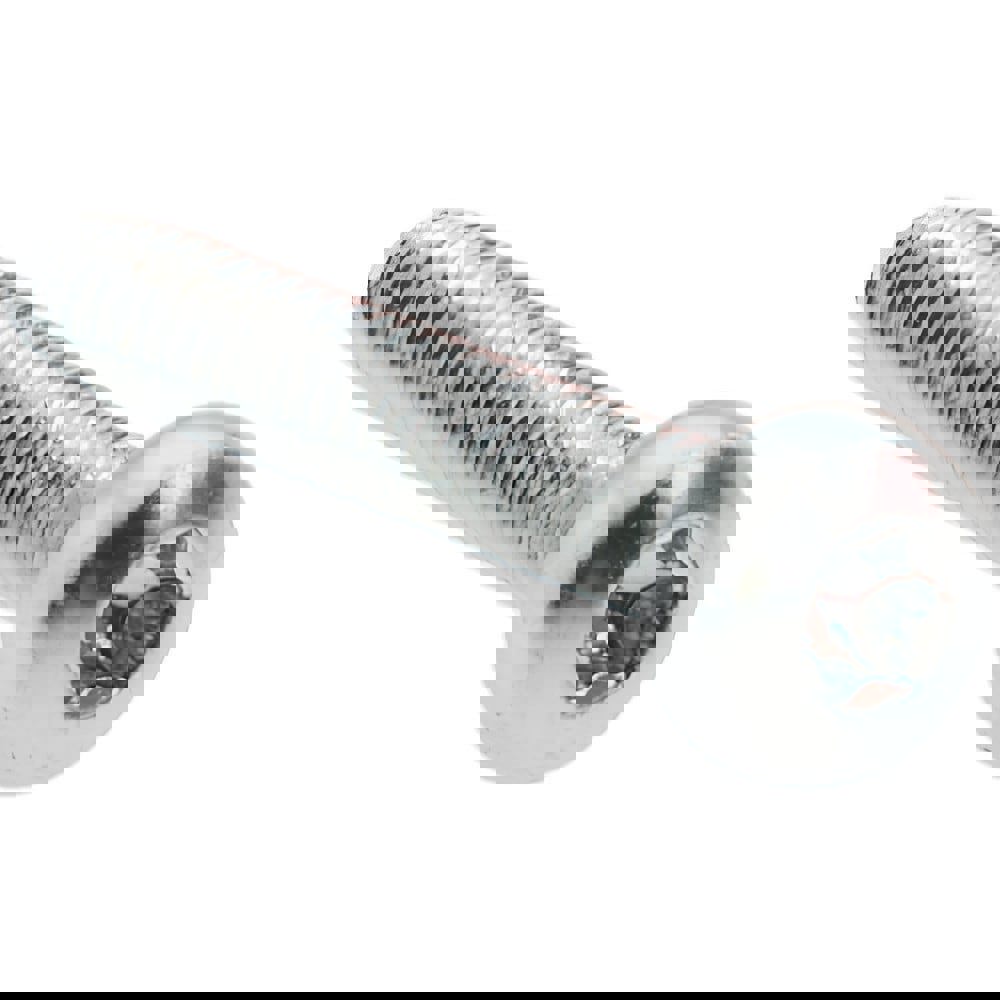 Sheet Metal Screw: Pan Head, Torx