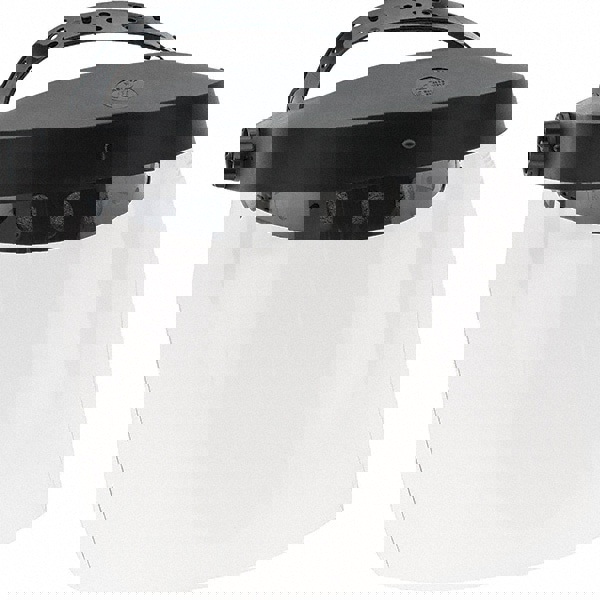 Face Shield & Headgear: