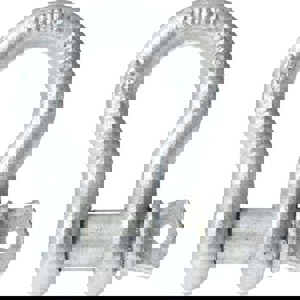 Anchor Shackle: Screw Pin