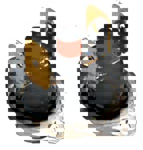 250 TSTAT MANUAL RESET