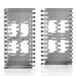 SS 2 GANG MID SZ DBL DUP WALLPLATE