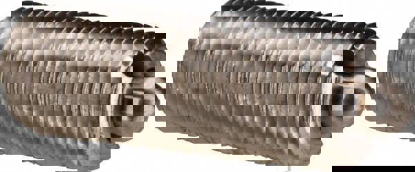 Threaded Spring Plunger: M8 x 1.25, 0.866