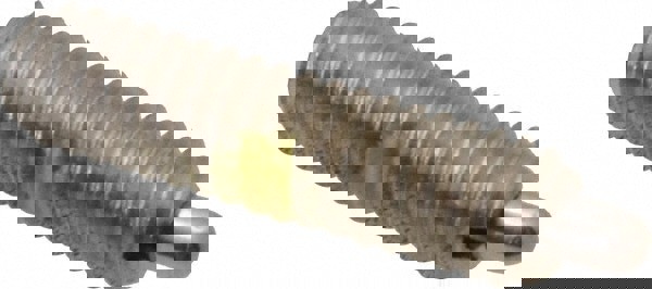 Threaded Spring Plunger: #8-32, 5/8