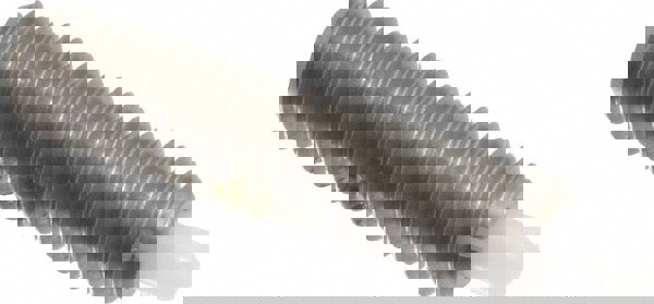 Threaded Spring Plunger: #10-32, 3/4