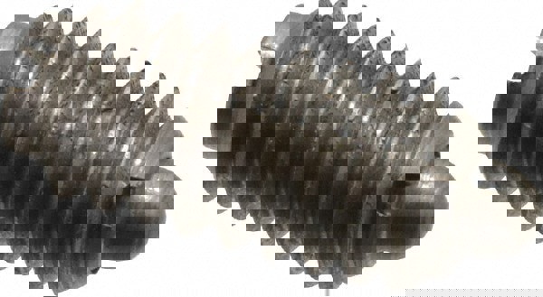 Threaded Spring Plunger: 1/4-20, 0.531