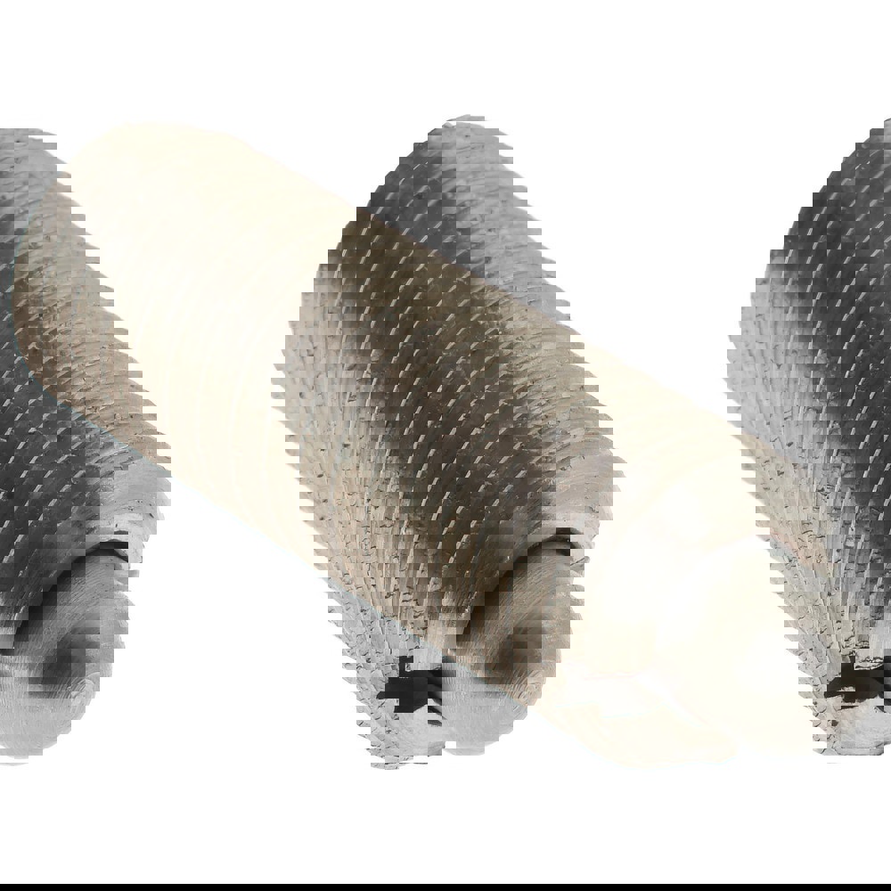 Threaded Spring Plunger: 3/8-16, 1-1/8