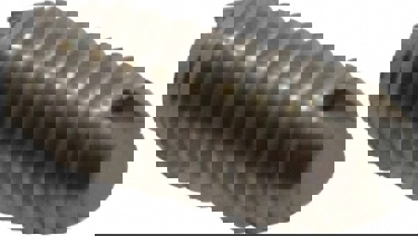 Threaded Ball Plunger: 8-32, 0.094
