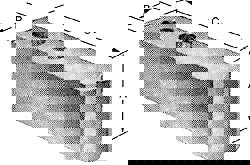 Soft Lathe Chuck Jaw: 3.75