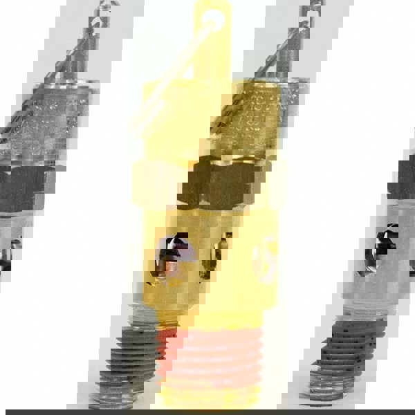 ASME Safety Relief Valve: 1/4