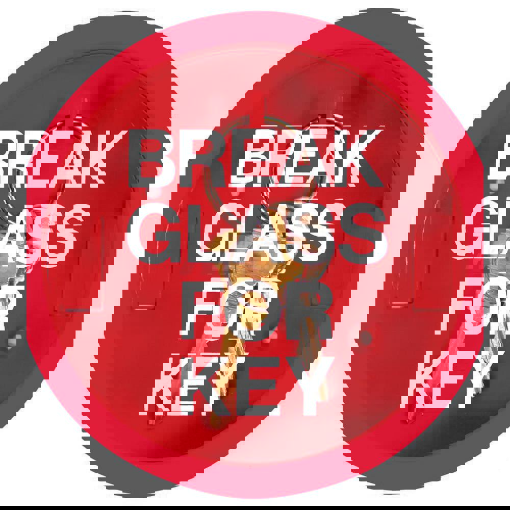 Pushbutton Switch Accessories; Switch Accessory Type: Break Glass Key Keeper ; For Use With: Keys ; Color: Red ; Material: ABS