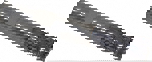 Reg Lgh Crse Rgh Sem,Tialn