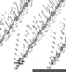 Stainless Steel Bird Control Netting