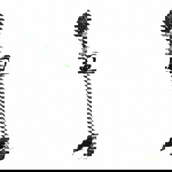 String Trimmer: Battery Power