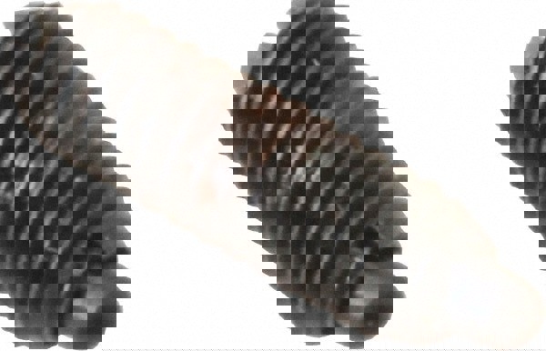 Threaded Spring Plunger: #8-32, 1/2