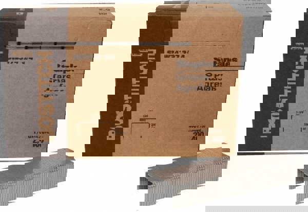Steel Crown Staple: Flat Style, 0.625