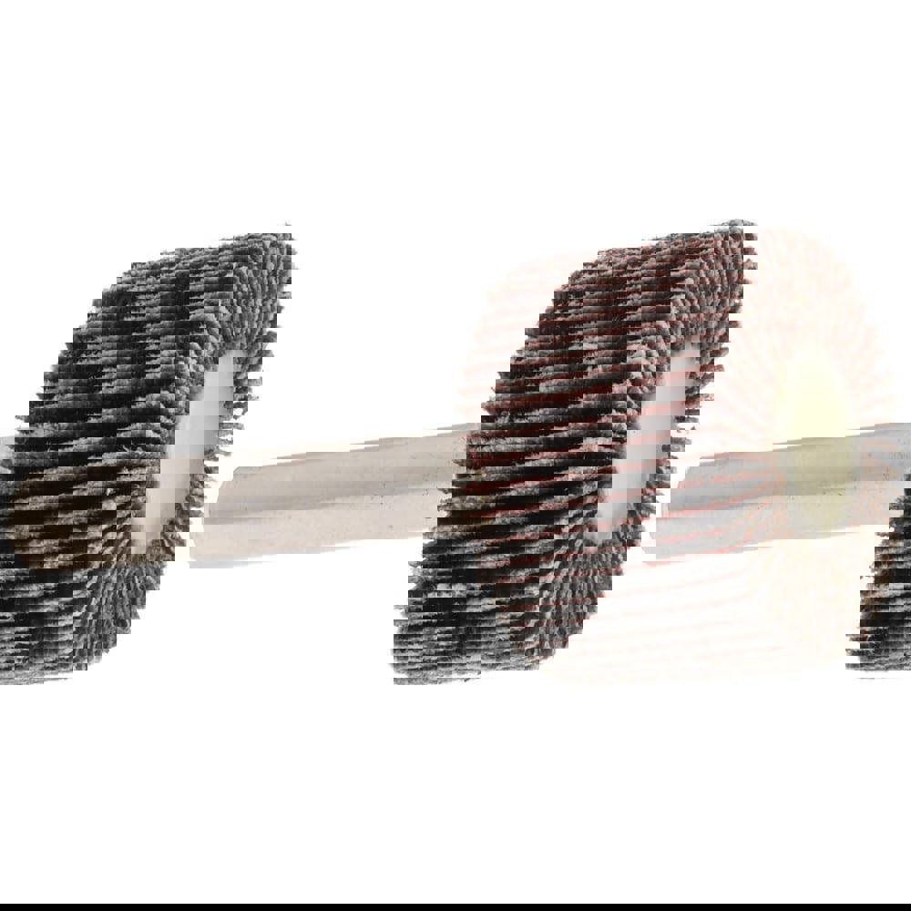 Mounted Flap Wheel: 1