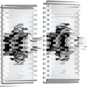 1HDL LEV P/BAL TRIM VLV *DRYDEN CP