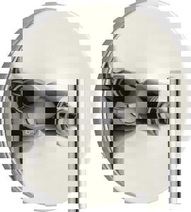 PURIST TSTAT VLV TRIM VPNI