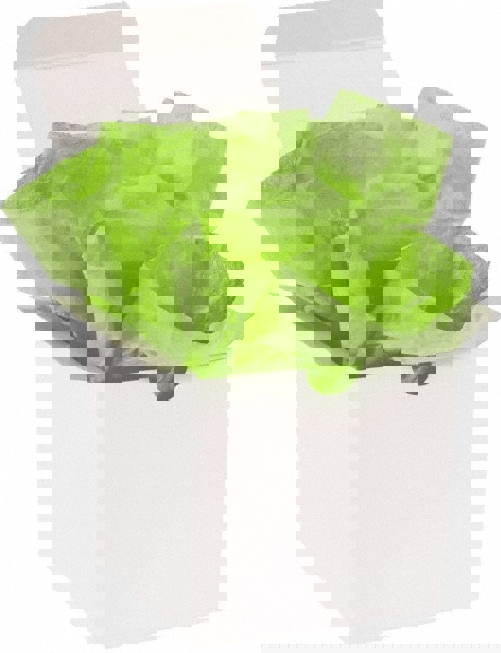 Packing Paper: Sheets