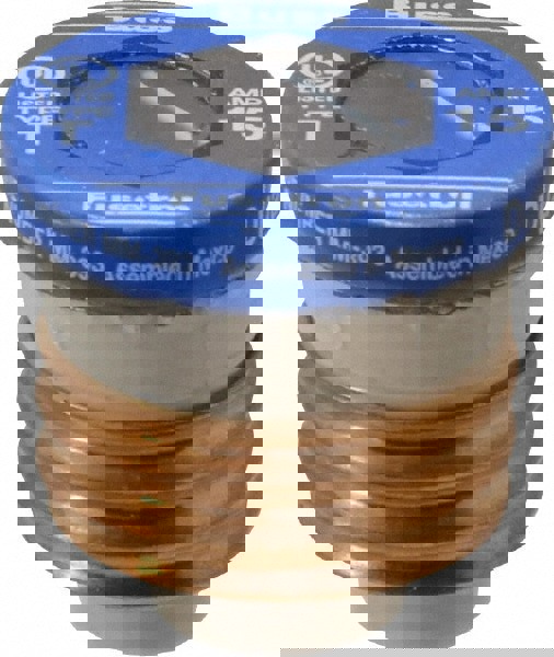 Plug Time Delay Fuse: 15 A, 2-1/4