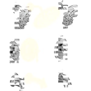 CCY LF 1.75 1HDL LEV P/BAL T&S FCT