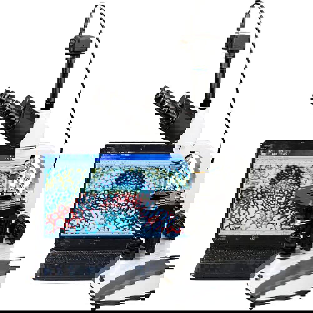 Microscopes; Microscope Type: Compound ; Eyepiece Type: Trinocular ; Image Direction: Upright ; Eyepiece Magnification: 10x