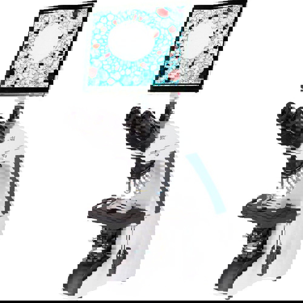 Microscopes; Microscope Type: Compound ; Eyepiece Type: Trinocular ; Image Direction: Upright ; Eyepiece Magnification: 10x