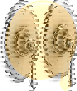 Single Handle Thermostatic Valve Trim in Vibrant Brushed Moderne Brass