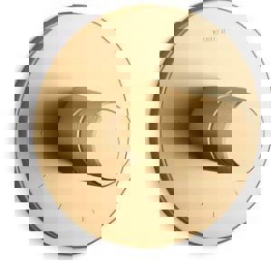 Single Handle Thermostatic Valve Trim in Vibrant Brushed Moderne Brass