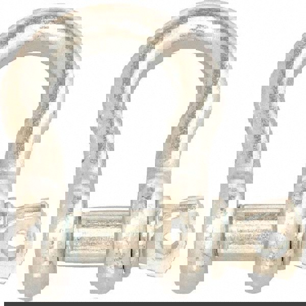 Anchor Shackle: Screw Pin