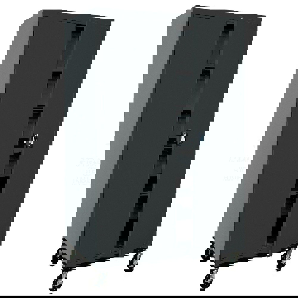 Storage Cabinets; Cabinet Type: Mobile S