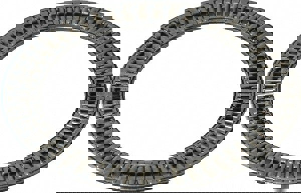 Needle Roller Bearing: 2